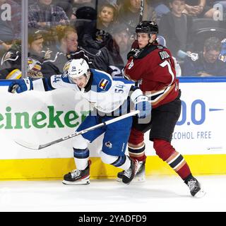 13 ottobre 2024, Loveland, Colorado, USA: Eagles RW MATTHEW PHILLIPS combatte con i Roadrunners D ARTEM DUDA lungo le tavole durante il 2°. Sabato d'epoca alla Blue Arena. I Roadrunners batterono gli Eagles 4-2. (Credit Image: © Hector Acevedo/ZUMA Press Wire) SOLO PER USO EDITORIALE! Non per USO commerciale! Foto Stock