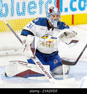 13 ottobre 2024, Loveland, Colorado, Stati Uniti: Eagles G KEVIN MANDOLESE cattura il disco nel guanto durante il primo. Sabato d'epoca alla Blue Arena. I Roadrunners batterono gli Eagles 4-2. (Credit Image: © Hector Acevedo/ZUMA Press Wire) SOLO PER USO EDITORIALE! Non per USO commerciale! Foto Stock