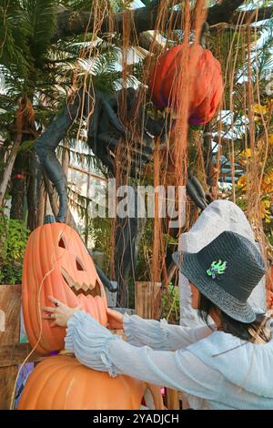 Donna in Black Hat che decora il cortile con le zucche Jack o'lantern per Halloween Holiday Foto Stock