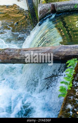 Vista di una cascata al Brewery Park di Tumwater, Washington. Foto Stock