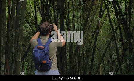 Uomo con zaino che scatta foto nella fitta foresta di bambù e cattura Foto Stock