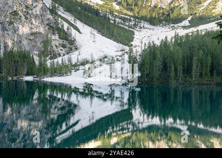 Riflessioni pomeridiane al Pragser Wildsee, Dolomiti, con cime rocciose e foreste di pini in estate Foto Stock