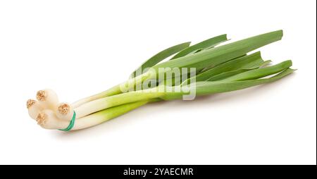 sentiero dell'aglio giovane isolato su bianco Foto Stock