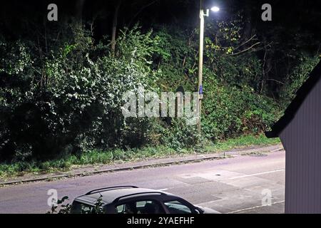 Abendruhe vor dem Beginn einer neuen Woche an einem milden Herbstabend zu Beginn der dunklen Jahreszeit spenden Laternen am Straßenrad Licht zur Sicherheit. *** Calmo serale prima dell'inizio di una nuova settimana in una mite serata autunnale all'inizio della stagione buia, le lanterne sulla ruota stradale forniscono luce per la sicurezza Foto Stock