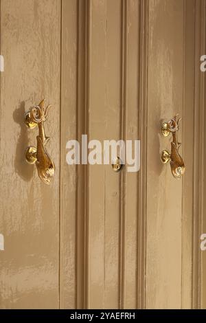 Gelbe beige Holztür. porta in legno di colore giallo beige. Türklopfer. bussano alla porta. pesce. Fisch. Oro. Disordine. Mdina. Malta. ottone. nobel. splendente. scintillante. Foto Stock