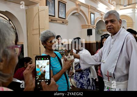 Mumbai, India. 13 ottobre 2024. MUMBAI, INDIA 13 OTTOBRE: In occasione del giorno della benedizione degli animali domestici, padre Giuseppe benedice gli animali domestici portati dagli amanti degli animali durante una cerimonia di benedizione degli animali presso la chiesa di nostra Signora della salute, Cavel, Kalbhadevi, il 13 ottobre 2024 a Mumbai, India. (Foto di Anshuman Poyrekar/Hindustan Times/Sipa USA ) crediti: SIPA USA/Alamy Live News Foto Stock