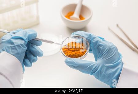 Ricerca medica delle proprietà curcuma con l'aiuto di attrezzature da laboratorio Foto Stock