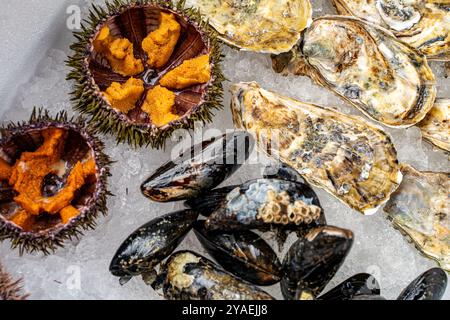 Pesce fresco assortito. Ostriche chiuse, cozze in conchiglie e ricci di mare aperto su ghiaccio. Foto di alta qualità Foto Stock