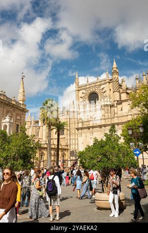 Centro città di Siviglia con autobus di fronte alla cattedrale Foto Stock