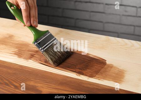 Donna con spazzola che applica macchia di legno di noce su una superficie di legno, primo piano Foto Stock