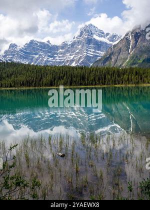 Icefield Parkway, autostrada 93, Alberta, Canada Foto Stock