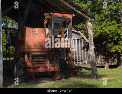 Mietitrebbia McCormick International 403. Foto Stock