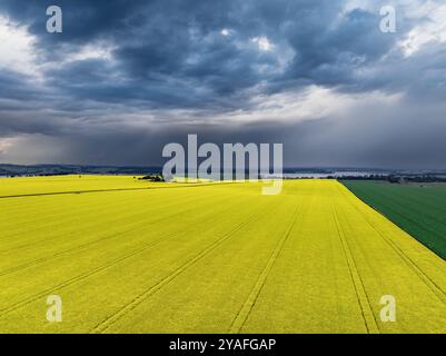 Vista aerea delle spettacolari nuvole di tempesta su un campo di canola fiorito a Moolort, nel Victoria centrale, Australia Foto Stock