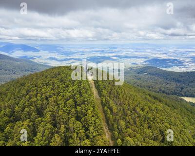 La vetta del Monte St Leonard in una calda giornata estiva vicino a Healesville, Victoria, Australia, Oceania Foto Stock