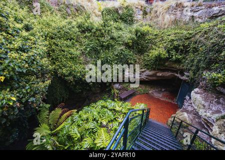 L'iconico e popolare sistema di grotte di Engelbrecht, che è una dolina sotto il CBD del monte Gambier in Australia meridionale, Australia, Oceania Foto Stock