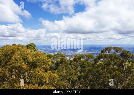 La vetta del Monte St Leonard in una calda giornata estiva vicino a Healesville, Victoria, Australia, Oceania Foto Stock