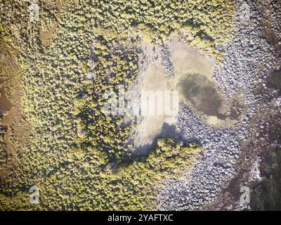 Jawbone Marine Sanctuary in una giornata invernale a Williamstown, Melbourne, Victoria, Australia, Oceania Foto Stock