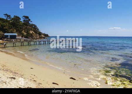 Vista verso Shelley Beach sul Sorrento, Portsea Artists' Trail in una calda giornata estiva nella Penisola di Mornington, Victoria, Australia, Oceania Foto Stock