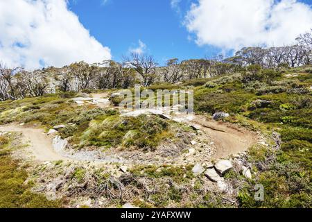 THREDBO, AUSTRALIA, 15 DICEMBRE 2023: Gli amanti della mountain bike scendono da Thredbo in una calda giornata estiva nelle Snowy Mountains, nuovo Galles del Sud, Australia, Foto Stock