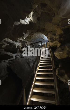 L'iconico e popolare sistema di grotte di Engelbrecht, che è una dolina sotto il CBD del monte Gambier in Australia meridionale, Australia, Oceania Foto Stock