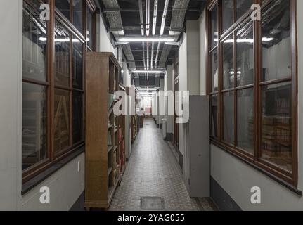 Bruxelles capitale regione, Belgio, 03 19 2022, magazzino e archivio del museo di scienze naturali, Europa Foto Stock