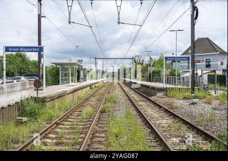 Groot-Bijgaarden, Brabante fiammingo, Belgio, 23 maggio 2024, binari ferroviari doppi e piattaforma della stazione locale, Europa Foto Stock