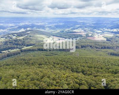 La vetta del Monte St Leonard in una calda giornata estiva vicino a Healesville, Victoria, Australia, Oceania Foto Stock