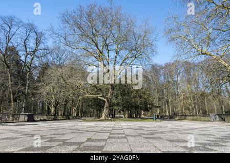 Vista panoramica sul parco Osseghem in primavera, Laeken, Bruxelles, Belgio, Europa Foto Stock