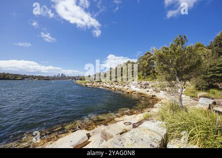 SYDNEY, AUSTRALIA, 3 DICEMBRE 2023: L'area di Barangaroo Reserve di Sydney vicino alle Rocks a Sydney, nuovo Galles del Sud, Australia, Oceania Foto Stock