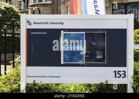 Bruxelles, Belgio, 07 03 2019, bandiera, insegna e scudo dell'Università di Maastricht, Europa Foto Stock