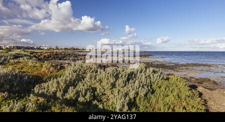 Jawbone Marine Sanctuary in una giornata invernale a Williamstown, Melbourne, Victoria, Australia, Oceania Foto Stock