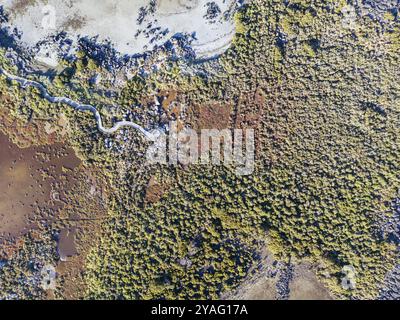 Jawbone Marine Sanctuary in una giornata invernale a Williamstown, Melbourne, Victoria, Australia, Oceania Foto Stock