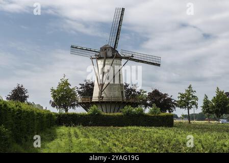 Wetteren, regione delle Fiandre orientali, Belgio, 07 15 2021 mulino a vento tradizionale belga nei campi, Europa Foto Stock