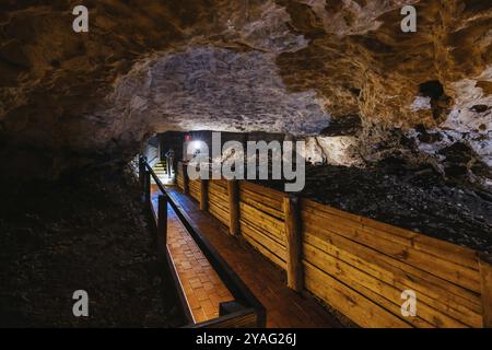 L'iconico e popolare sistema di grotte di Engelbrecht, che è una dolina sotto il CBD del monte Gambier in Australia meridionale, Australia, Oceania Foto Stock