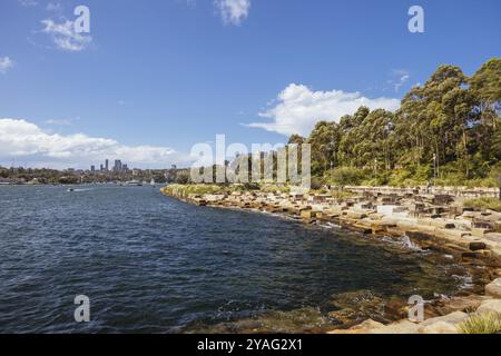 SYDNEY, AUSTRALIA, 3 DICEMBRE 2023: L'area di Barangaroo Reserve di Sydney vicino alle Rocks a Sydney, nuovo Galles del Sud, Australia, Oceania Foto Stock