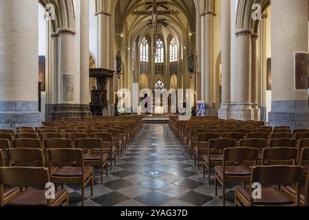 Hasselt, Limburgo, Belgio, 04 12 2022, disegno interno gotico della Cattedrale di San Quintino, Europa Foto Stock