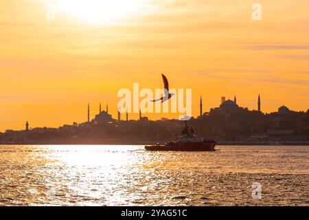 Vista dello skyline di Istanbul dal centro del Bosforo, edifici residenziali, torri commerciali e moschee sulla costa del Mar di Marmara. Foto Stock