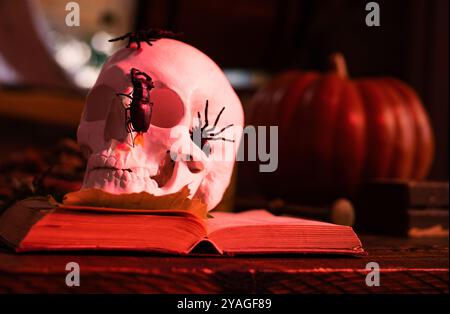 Decorazioni di Halloween su sfondo bianco di legno scuro. Zucca con teschio - tema Halloween. Foto Stock