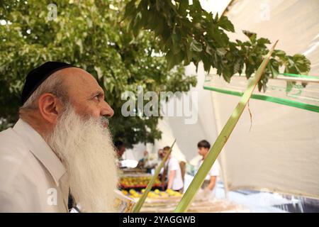 L'uomo ebreo ortodosso prima di Succot esamina l'aspetto generale della fronte di palme di Lulav, una delle poche che detiene, il mercato delle quattro specie di Machane Yehuda. Foto Stock