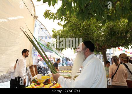 L'uomo ebreo ortodosso prima di Succot esamina l'aspetto generale della fronte di palme di Lulav, una delle poche che detiene, il mercato delle quattro specie di Machane Yehuda. Foto Stock