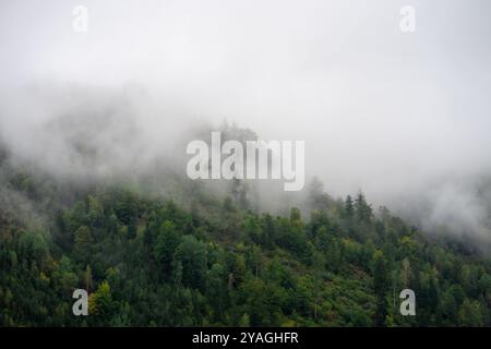 Montagne alpine ricoperte di foreste nella nebbia mattutina. Foto Stock