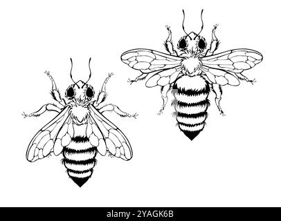 Contorno, monocromatico, nero, disegno artistico di due soffici, dolci, api mellifere. Apnea di contorno. Illustrazione Vettoriale