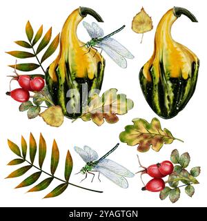 Impostare composizione Autunno. Zucca decorativa con foglie autunnali, rosa fianchi e libellule, illustrazione ad acquerello su sfondo bianco. Arredamento per Halloween. Design tipografico, tessuti Foto Stock