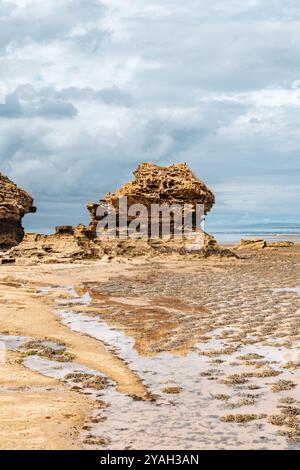 Formazione rocciosa aspra sulla costa ricoperta di alghe marine durante la bassa marea Foto Stock