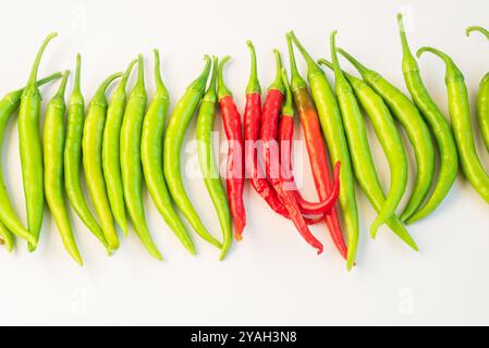 Peperoncini verdi e rossi disposti in linea, prodotti freschi e vivaci. Foto Stock