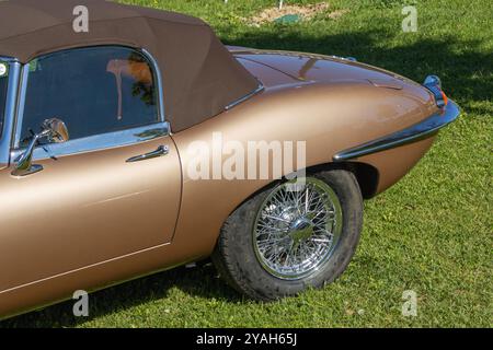 Vista laterale di una jaguar e TYPE serie 1 convertibile marrone con la sua capote parcheggiata sull'erba Foto Stock