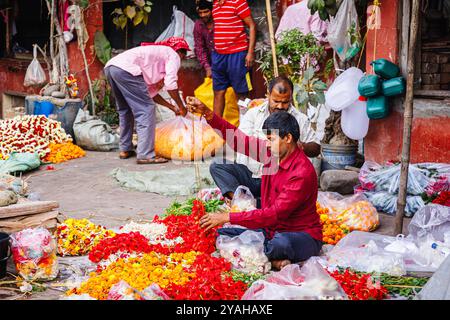 Un venditore locale detiene ghirlande di ibisco che sta facendo nel mercato dei fiori di Howrah a Strand Bank Road, Kolkata (Calcutta), Bengala Occidentale, India Foto Stock