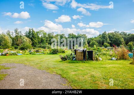 Compton Parish allotments (giardini comunitari), creato nel 1830, e capannoni a Compton, un villaggio nel Surrey, nel sud-est dell'Inghilterra Foto Stock