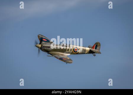 Supermarine Spitfire Mk. VC "AR501", Old Warden Airfield, Biggleswade, Bedfordshire, Inghilterra, REGNO UNITO Foto Stock