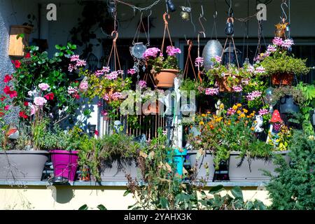 Piante in fiore che crescono. Cesti sospesi vasi vasi vasi di fiori, balcone Small Garden Berlin Germania Foto Stock